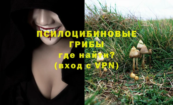кокс Арсеньев