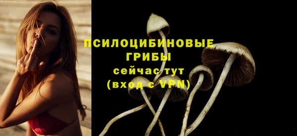 кокс Арсеньев