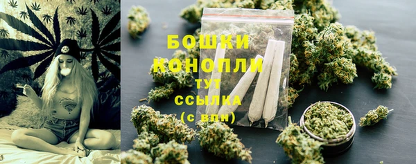СК Аркадак