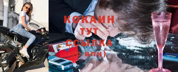 кокс Арсеньев